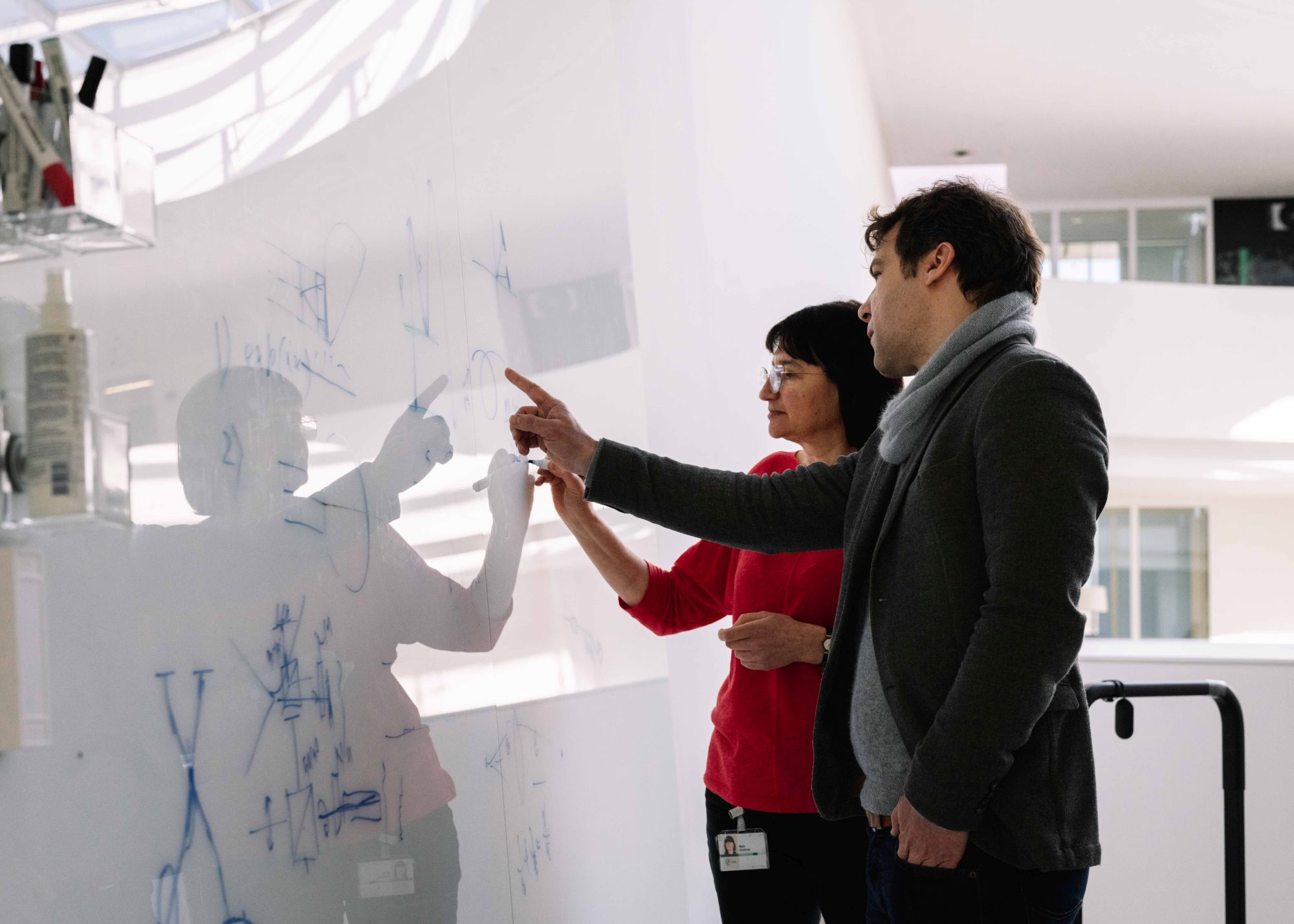 About FAU - MyStudies